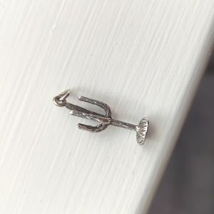 Sterling silver cactus saguaro charm